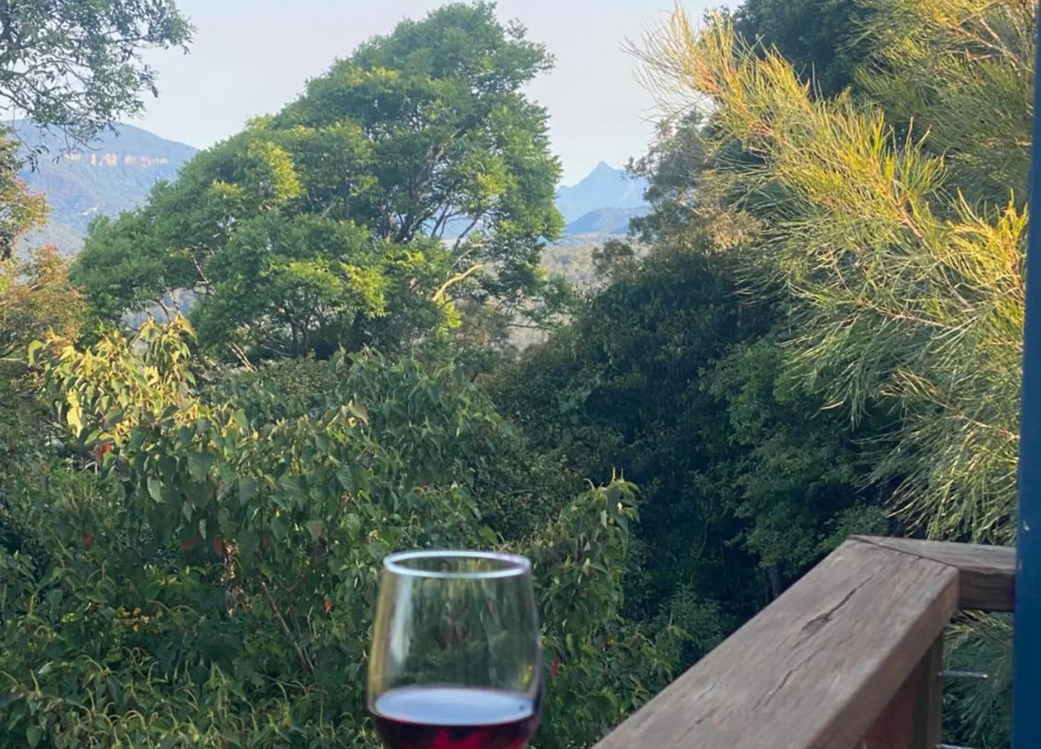 Willow Cabin Beechmont Holiday home