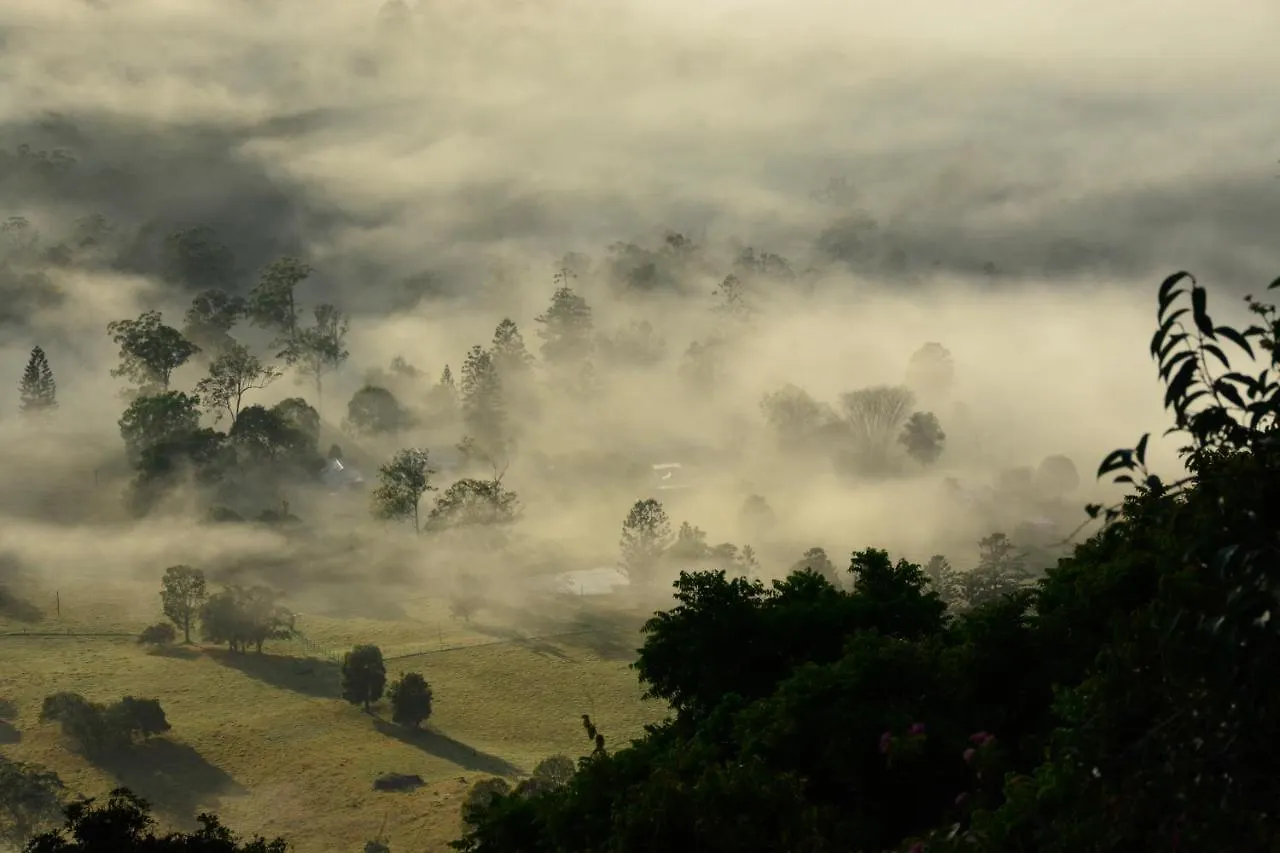 Willow Cabin Beechmont Australia
